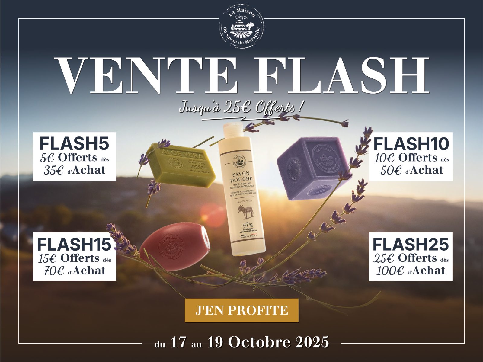 Newsletter-Header: Vente Flash mit vier Gutscheincodes vor Lavendelfeld